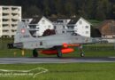 Tiger-Trainingskurs in Emmen